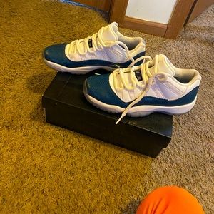 Jordan retro 11 low snake skins